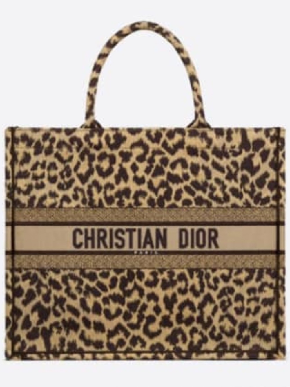 Dior Leopard-Print Book Tote